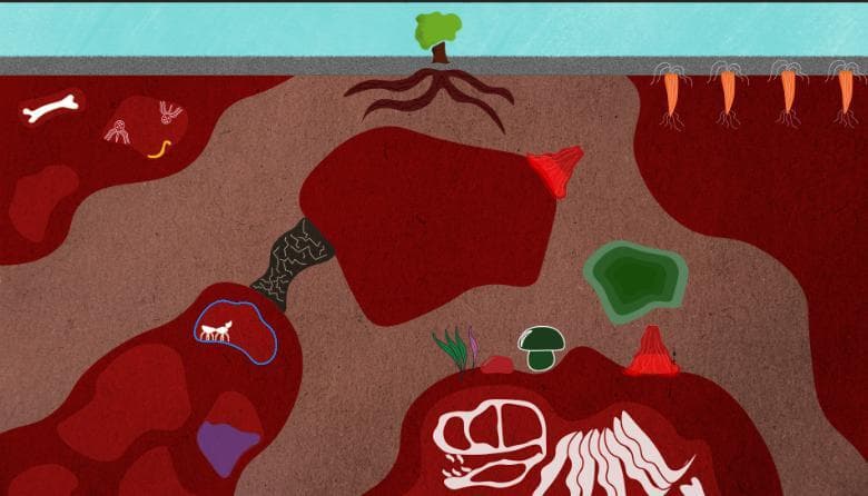 Branching Out (craftedanomaly) screenshot 2