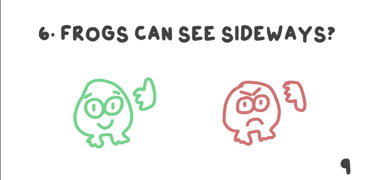 Fact Frog screenshot 3