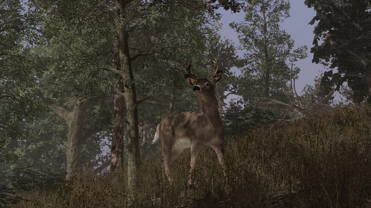 Pro Deer Hunting screenshot 6