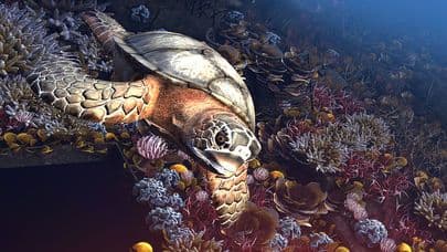 VR Mission Leviathan screenshot 2