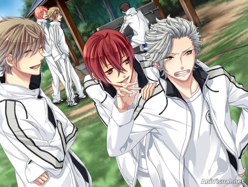 Starry Sky: In Spring 3D screenshot 3