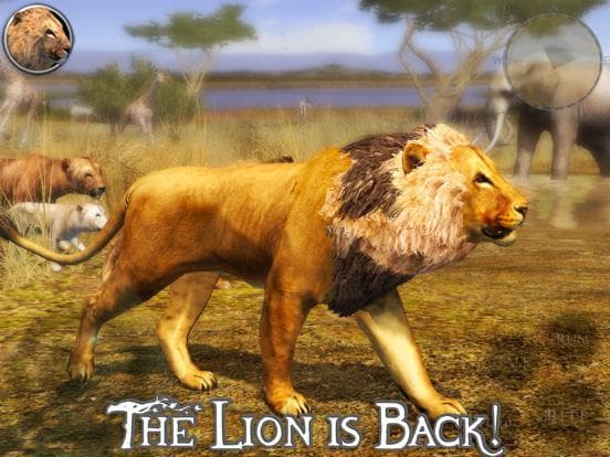 Ultimate Lion Simulator 2 screenshot 2