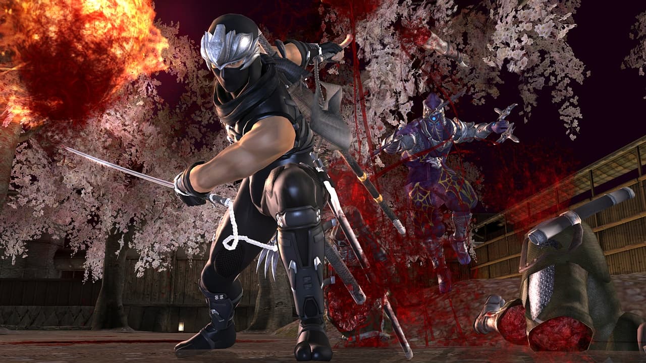 Ninja Gaiden II screenshot 3