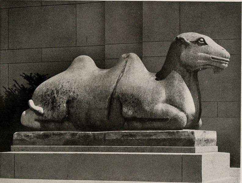 Two Camels