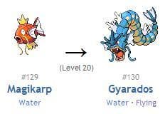 Magikarps Evolution Struggle screenshot 2