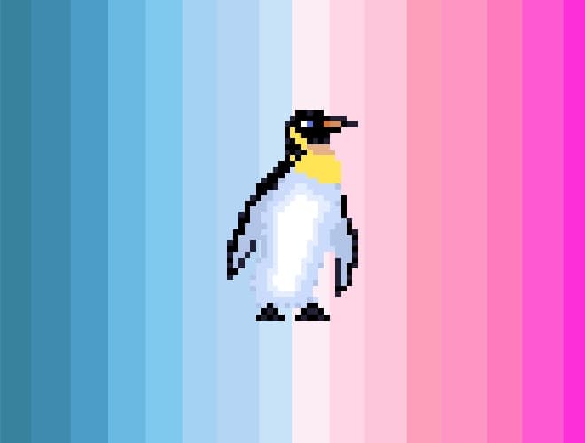 Hoppy Penguin