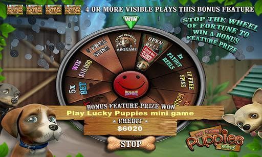 Pet Store Puppies Slots PAID screenshot 3