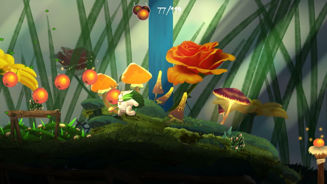 A Floofs Adventure