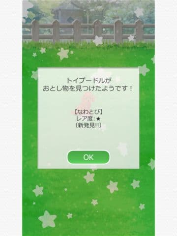 My Dog Life -Toy Poodle Edition screenshot 5