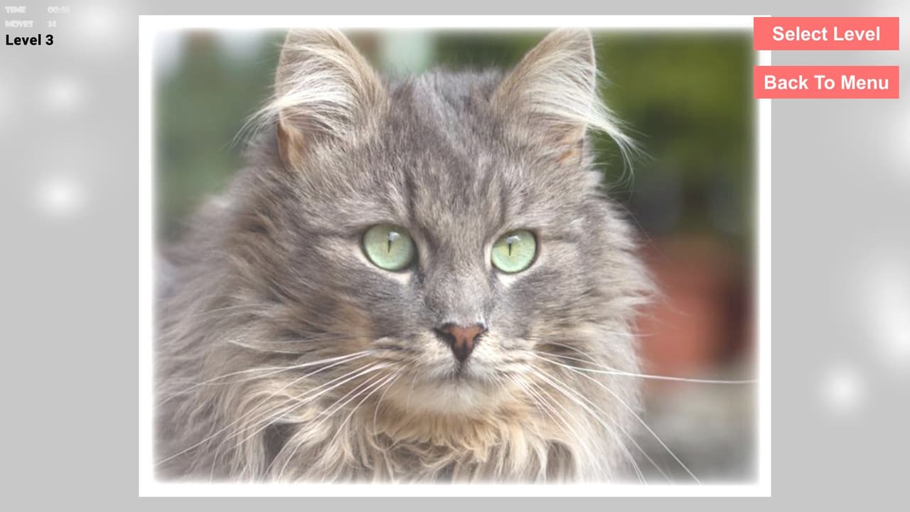 Cats Epic Puzzles screenshot 4