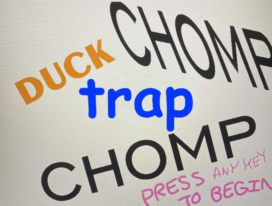 Duck Trap screenshot 2