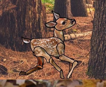 Careful Deer screenshot 2