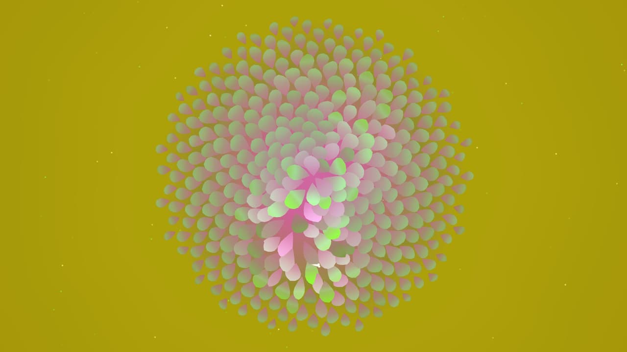Blossom screenshot 2
