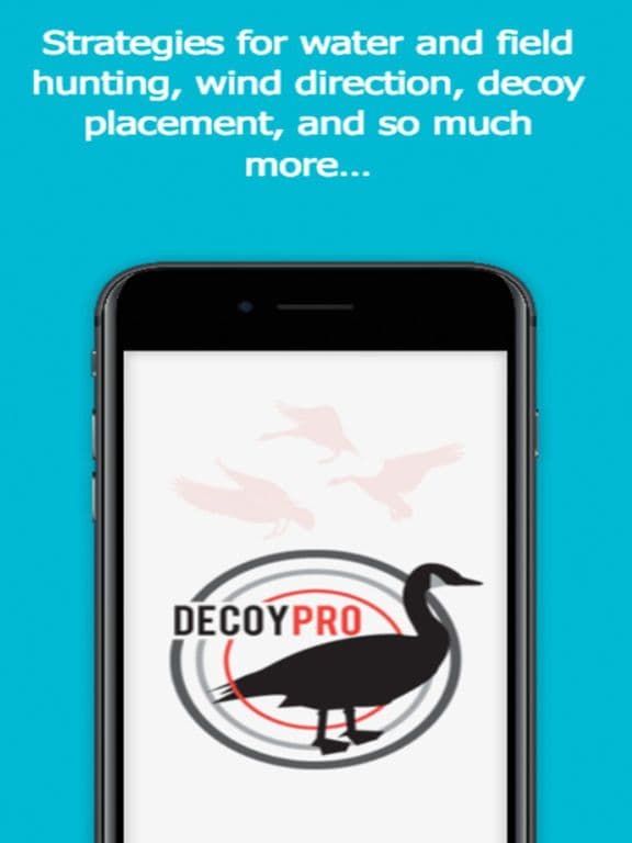 Goose Hunting Diagrams - DecoyPro screenshot 4