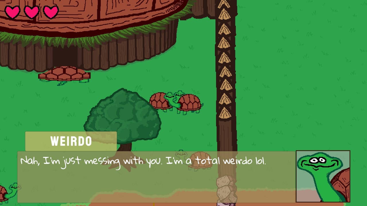 Hero Turtle Kills a Wizard DX screenshot 3