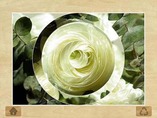 Photo Puzzles screenshot 6