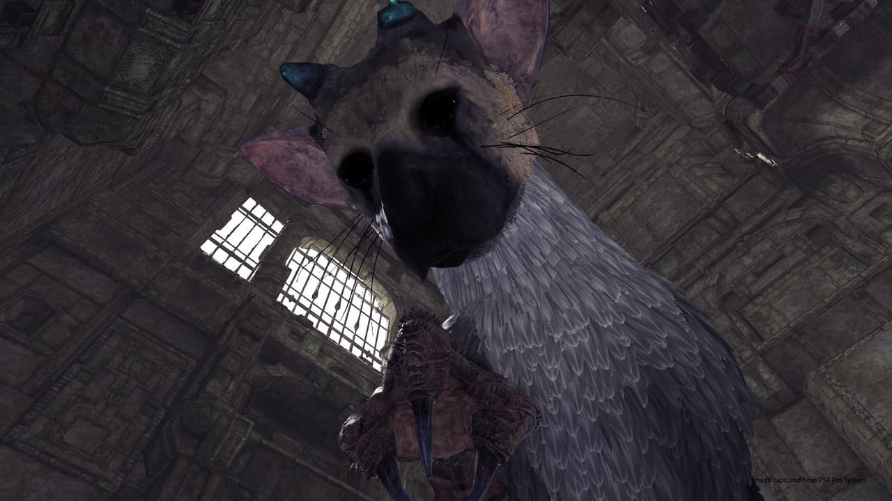 The Last Guardian VR Demo screenshot 6