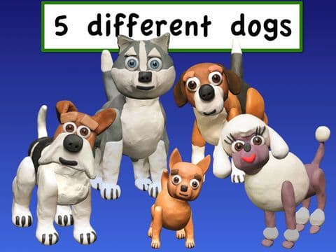 Agility Dogs Lite screenshot 3
