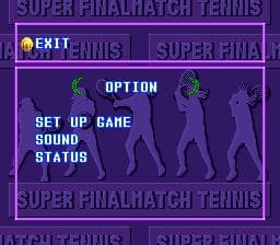 Final Match Tennis screenshot 4