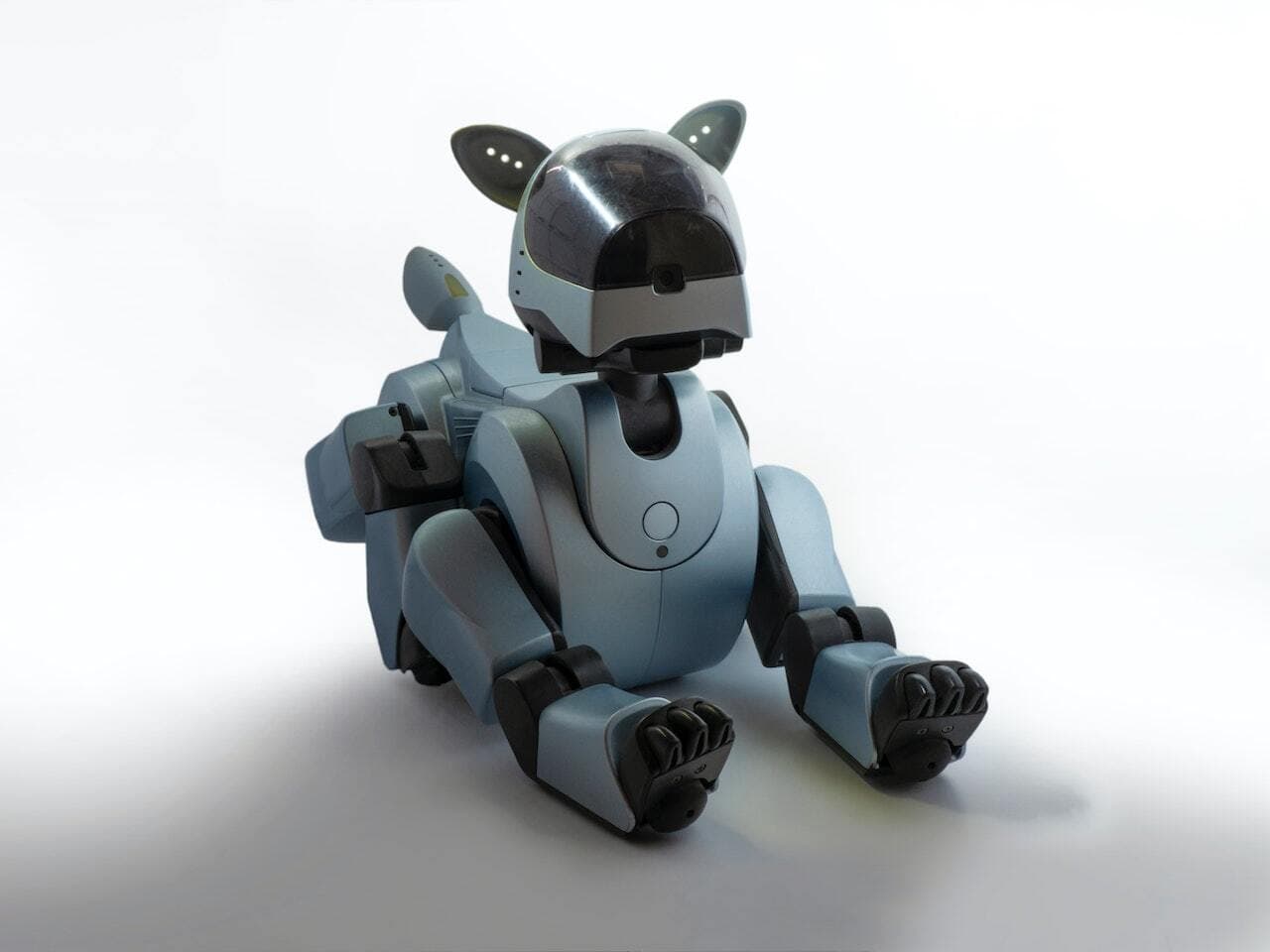 Tintown: An Interactive Robot Live