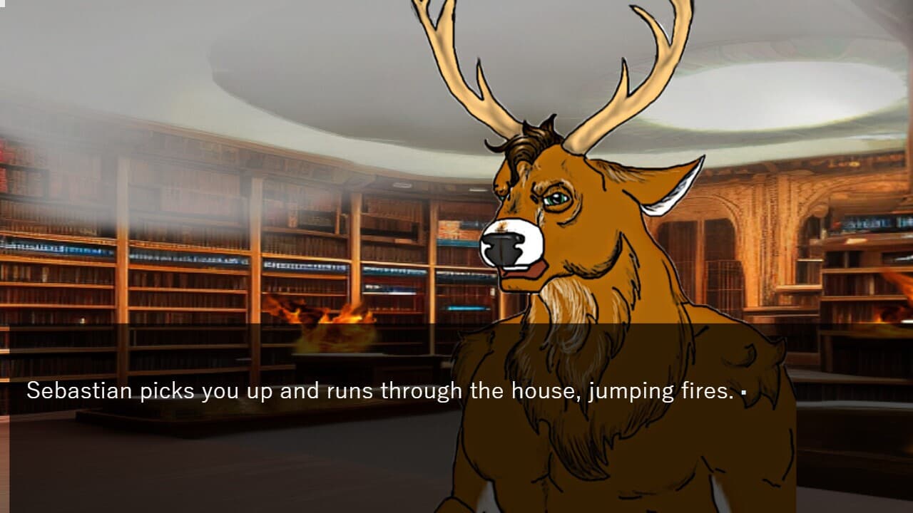 Animalia