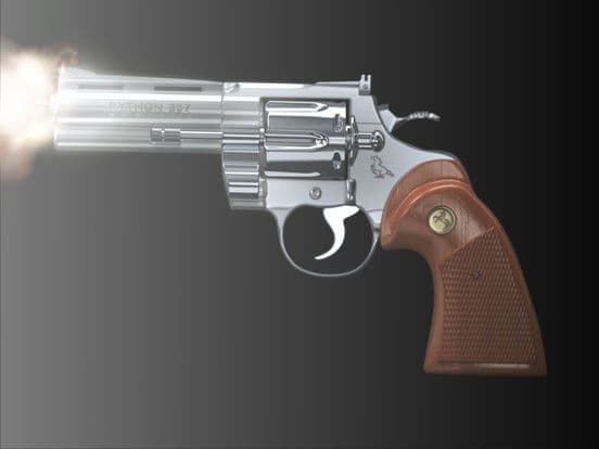iGun Pro