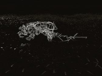 Plains of Eden screenshot 4