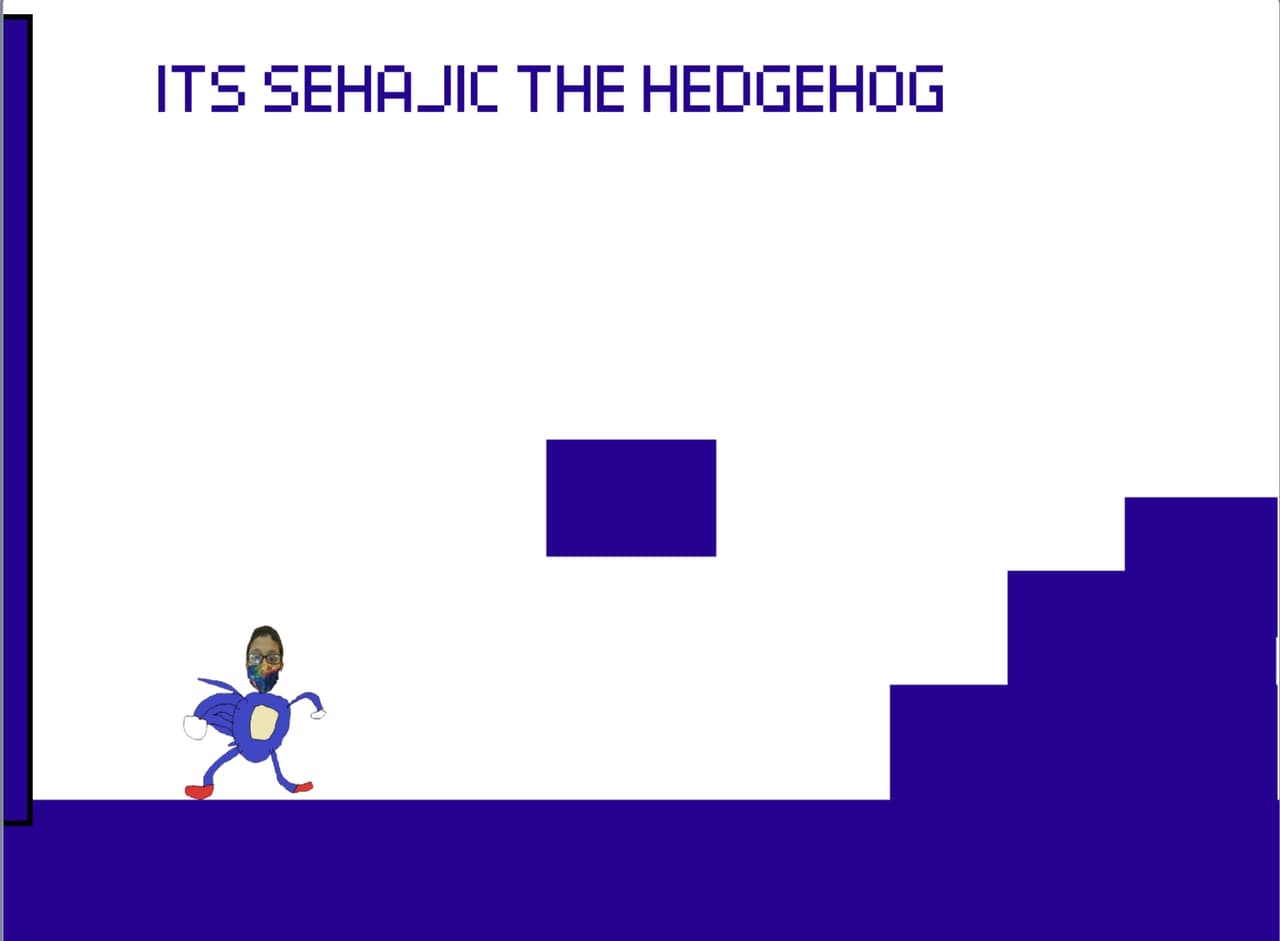 Sehajic the Hedgehog: Celebration Edition screenshot 2