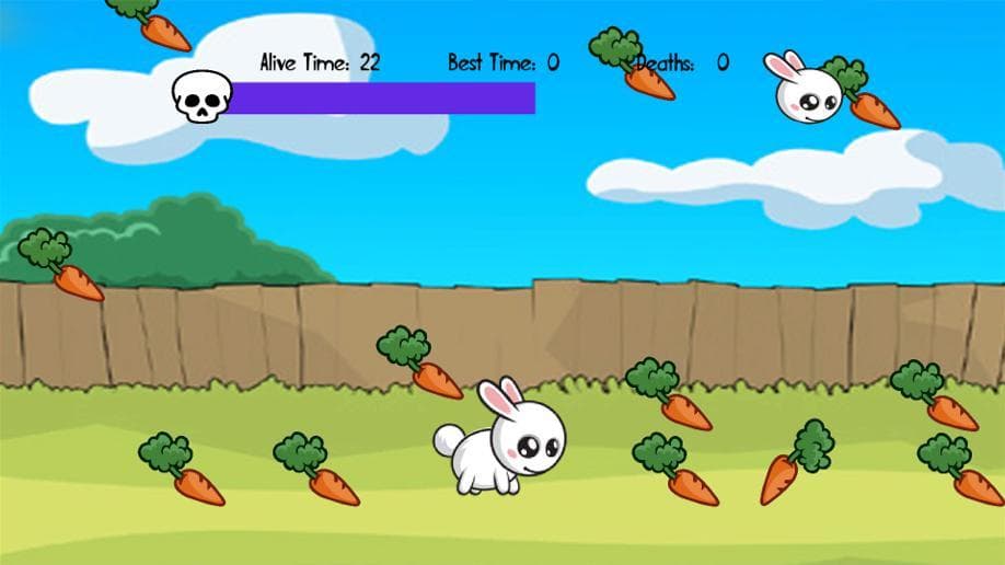 Feed the Bunny