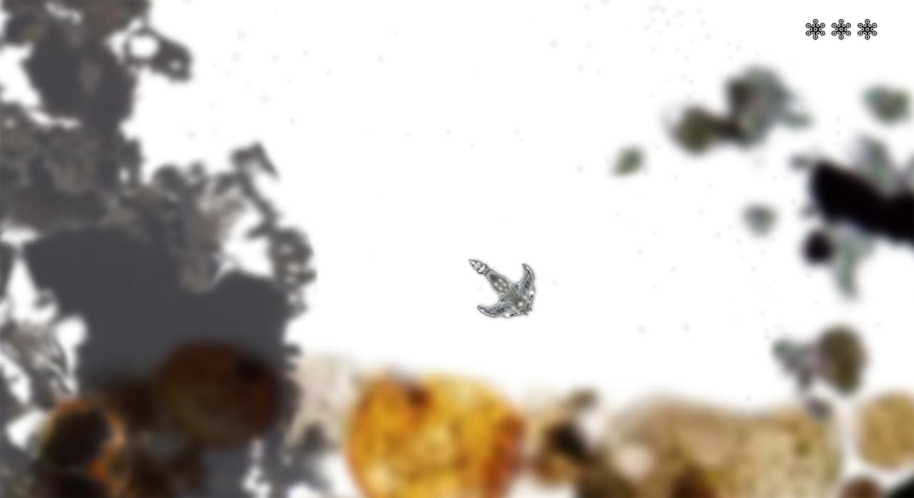 My Microscopic Pet screenshot 4