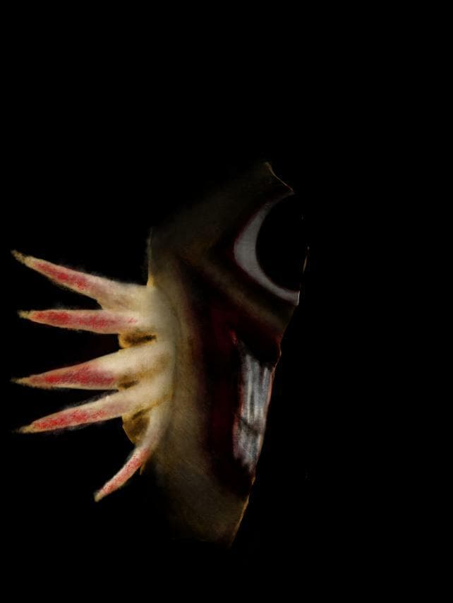 Living Nightmare