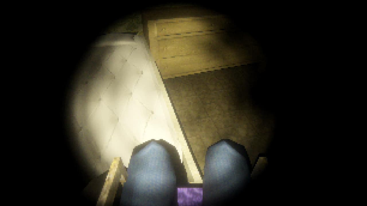 TRANSVALID screenshot 4