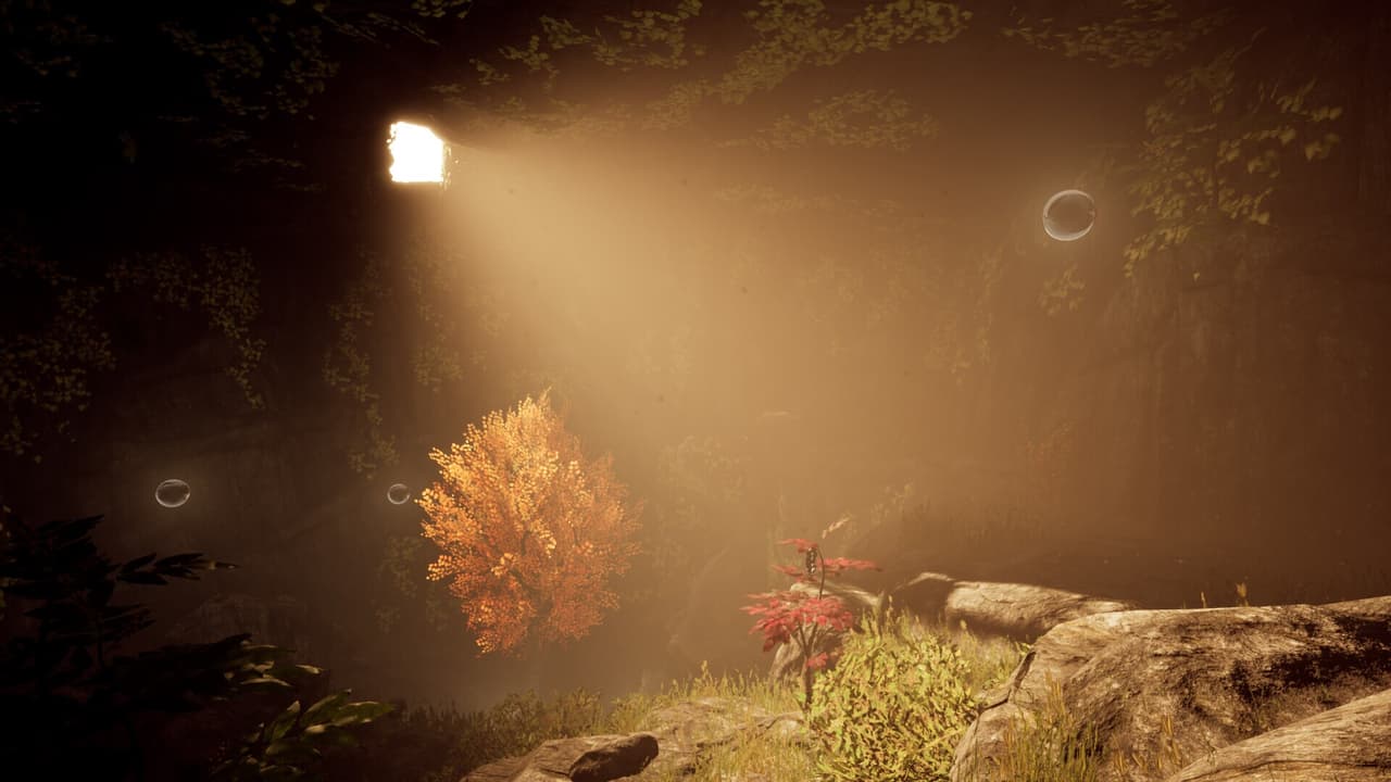 Number 217721 screenshot 4
