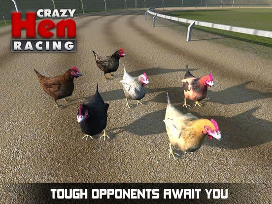 Hen Racing Simulator - Race Free Range Chickens