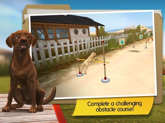 DogHotel Premium- My hotel for labradors screenshot 5