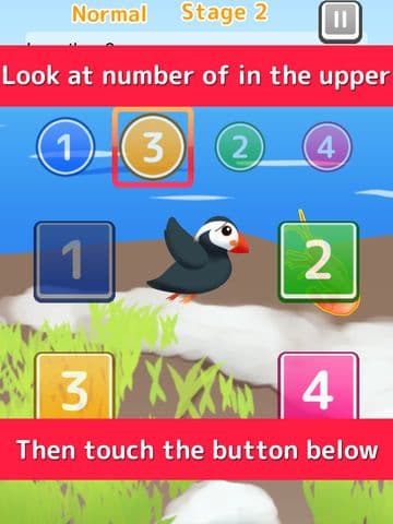 Etupirka - puffin bird numbers action
