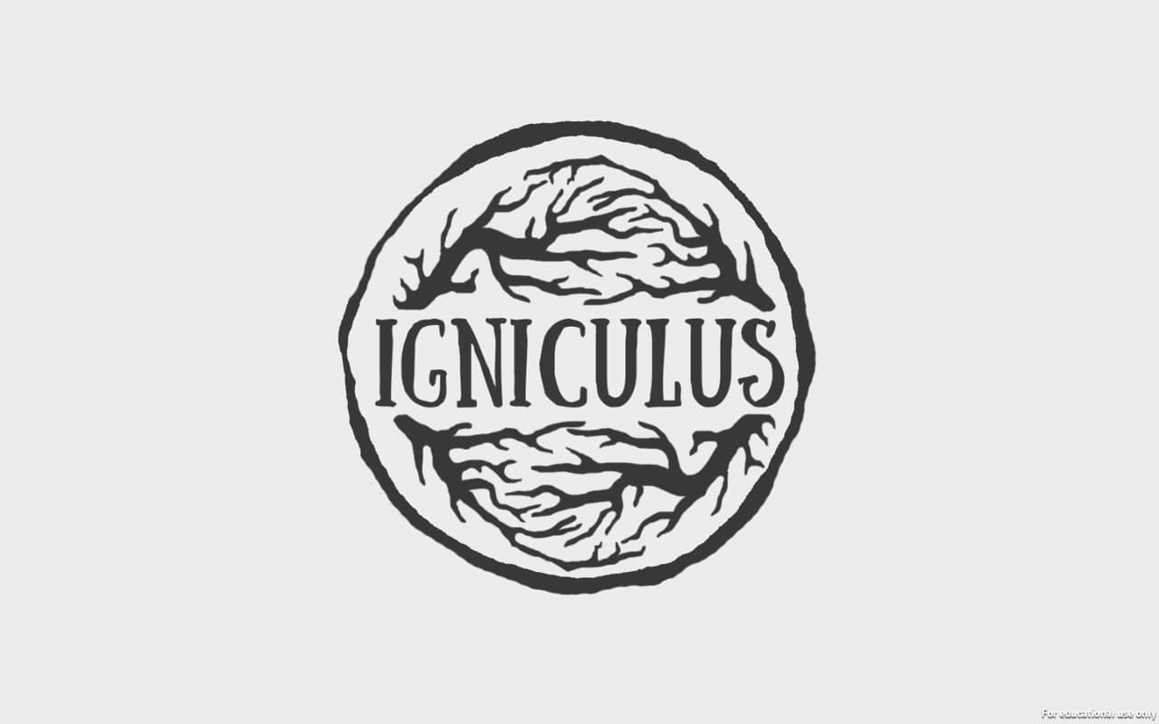 Igniculus screenshot 2