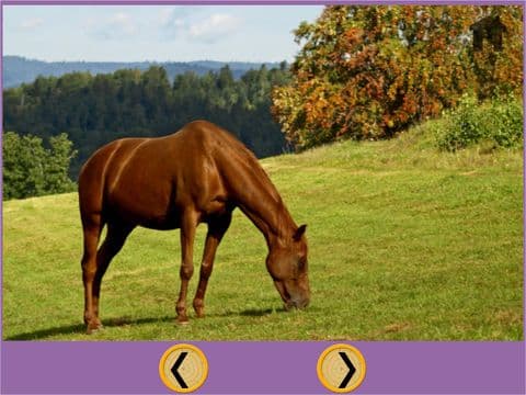 my children and horses - free game