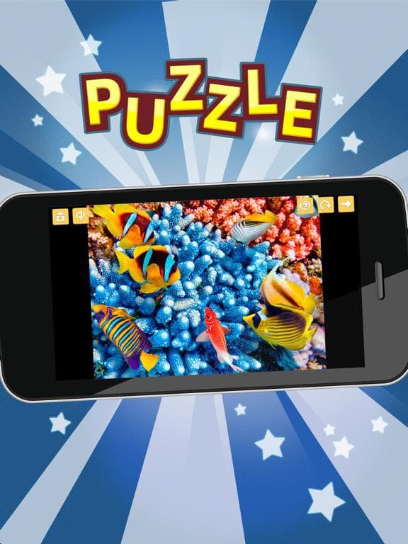 Seascape and Dolphin Jigsaw Puzzles screenshot 4