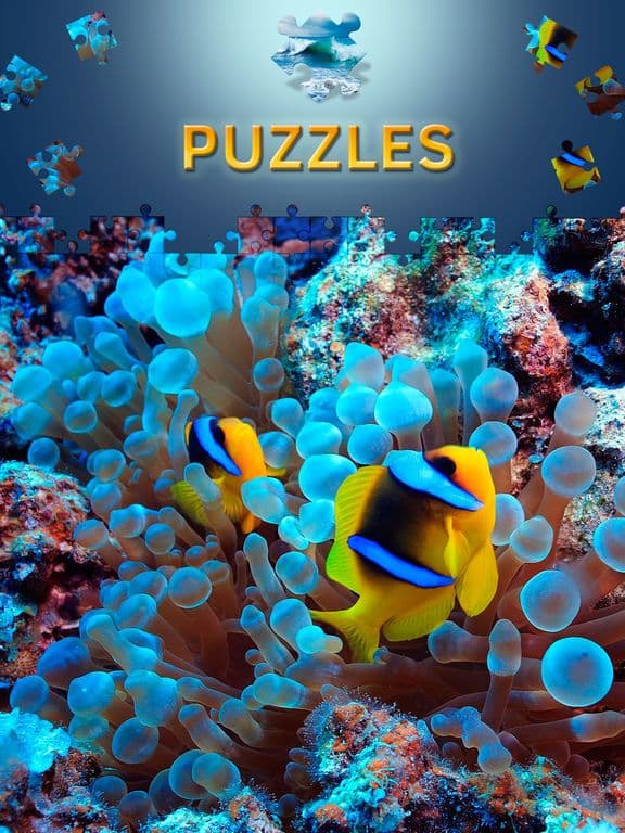 Ocean Jigsaw Puzzles Games for Adults screenshot 3