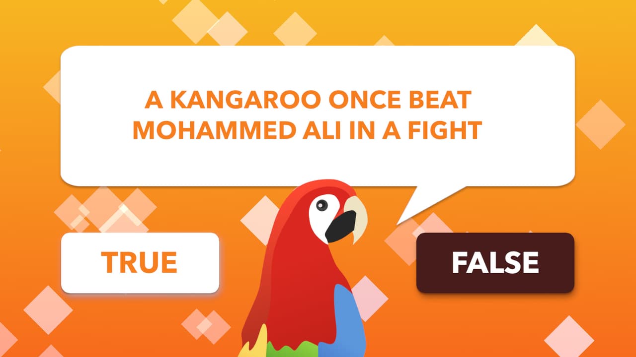 True or False Universe screenshot 5