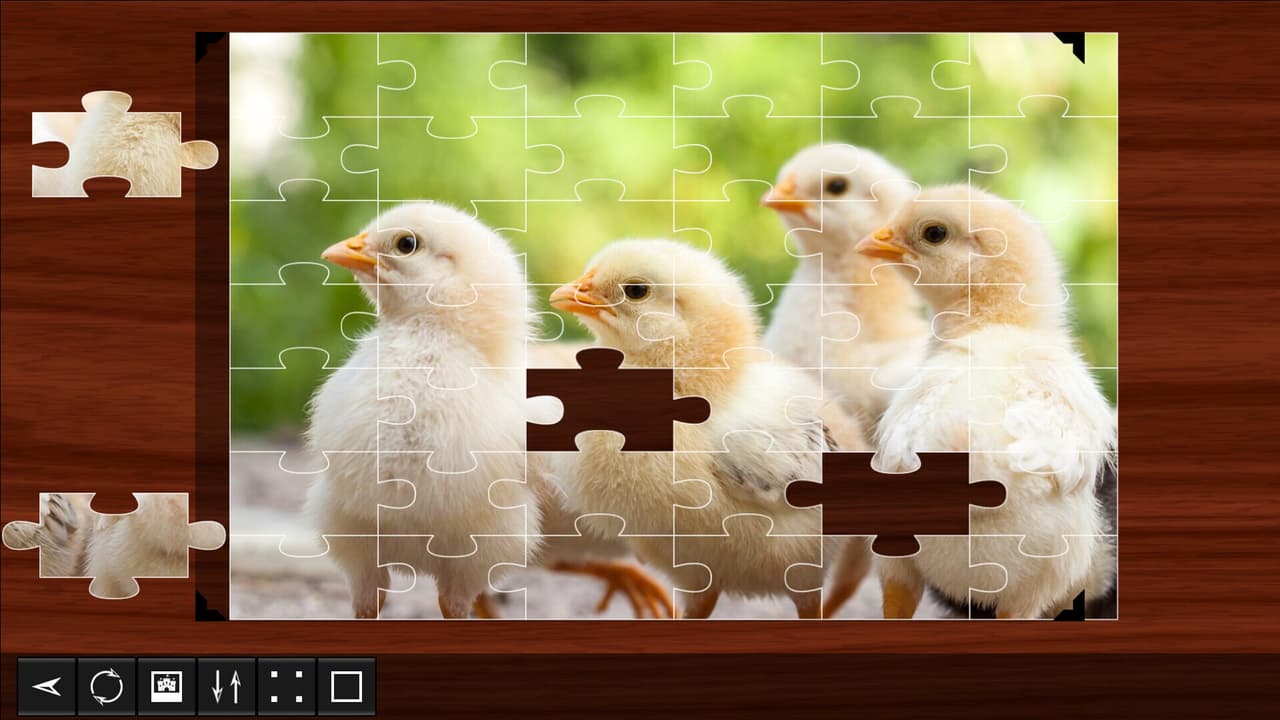 Jigsaw Puzzle World screenshot 6