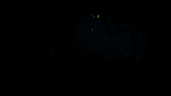 Narcolepsy screenshot 2