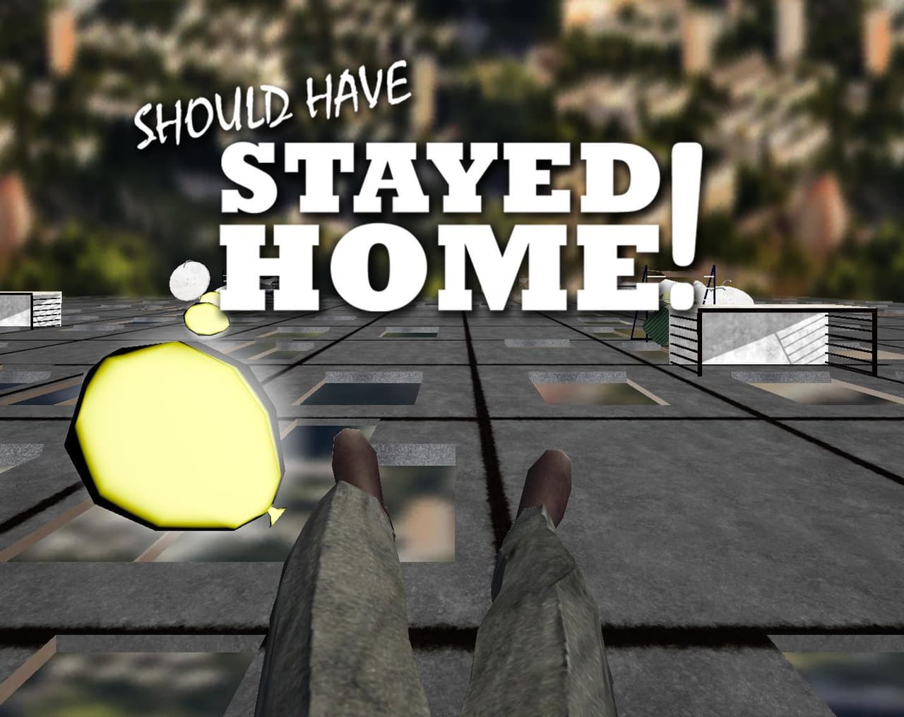 Should have Stayed Home!