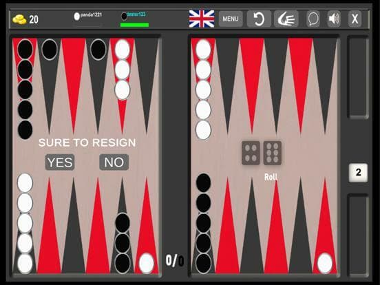 Backgammon66
