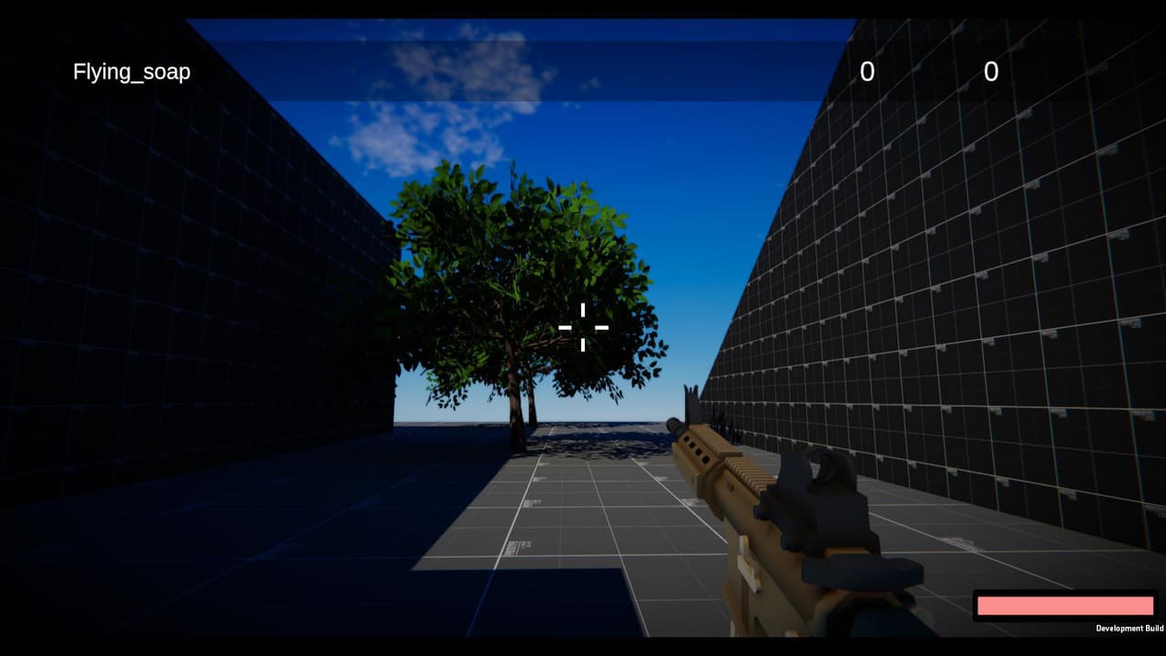 Multiplayer FPS project