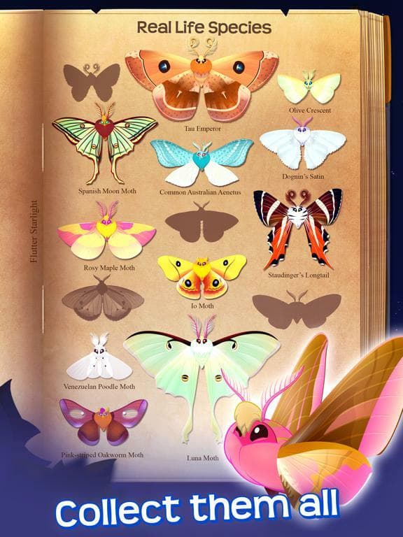 Flutter: Starlight screenshot 2
