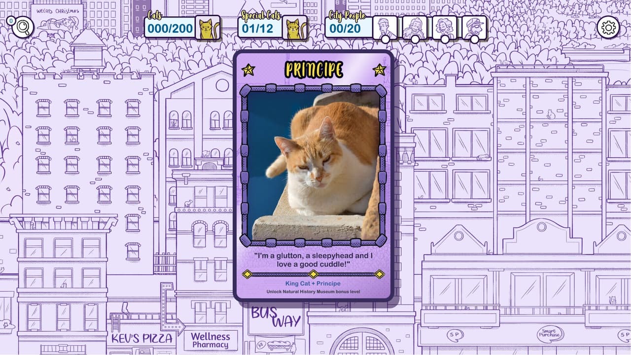 Hidden Cats in New York screenshot 5