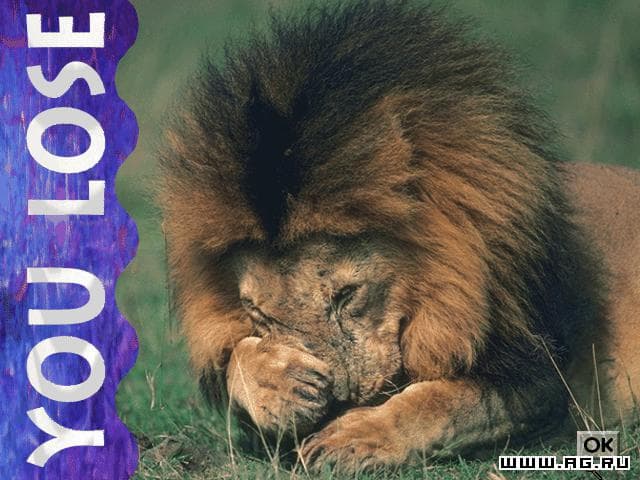 Lion screenshot 4