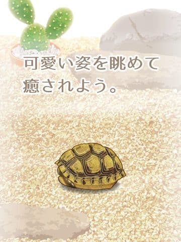 Tortoise Aquarium Free